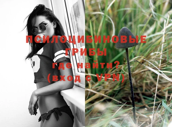 jwh Михайловск