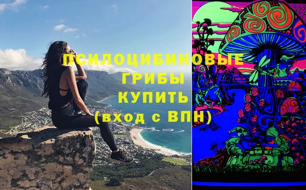 MDMA Михайловка