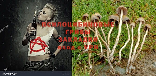 MDMA Михайловка